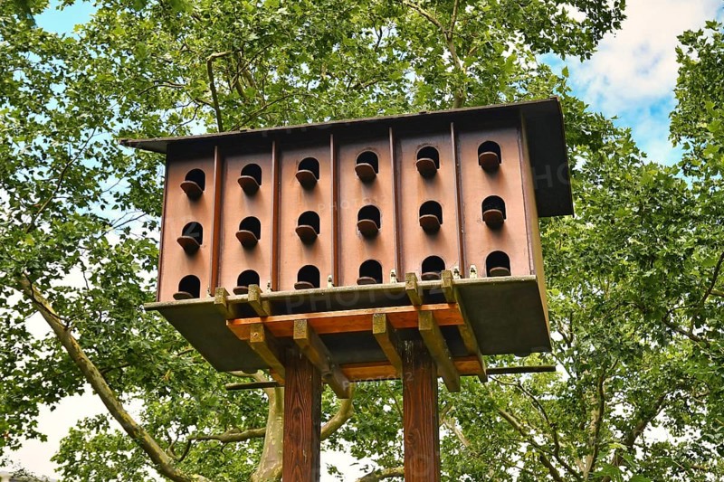 Large pigeon bird house constructed to exchange eggs for fake eggs to reduce feral pigeon population in cities