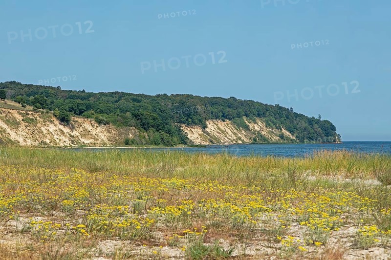 Nordperd, Göhren, Island of Rügen, Mecklenburg-Western Pomerania, Germany, Europe