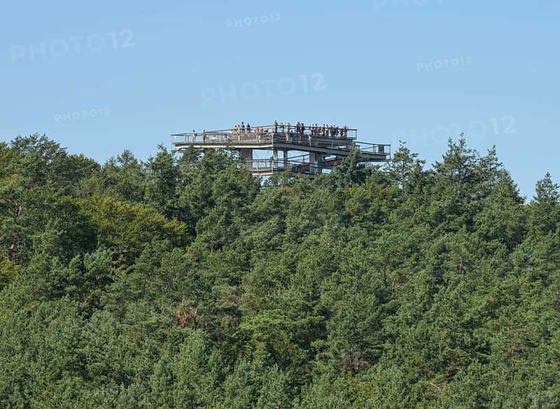 Treetop Walk viewing platform, Heringsdorf, Usedom, Mecklenburg-Western Pomerania, Germany, Europe