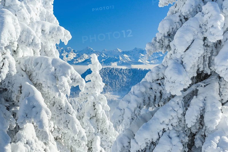 View from the Rigi, Glarus Alps, Switzerland, Europe
