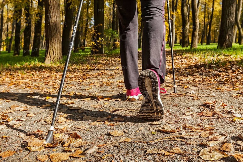Nordic walking adventure and exercising concept, woman hiking, legs and nordic walking poles in autumn nature