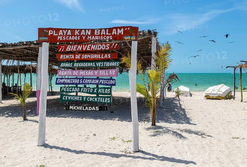 Painted wooden beach signs at Playa Kan Balam, Celestun, Yucatan, Mexico, Central America