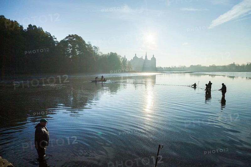 Fishing of the castle pond in Moritzburg