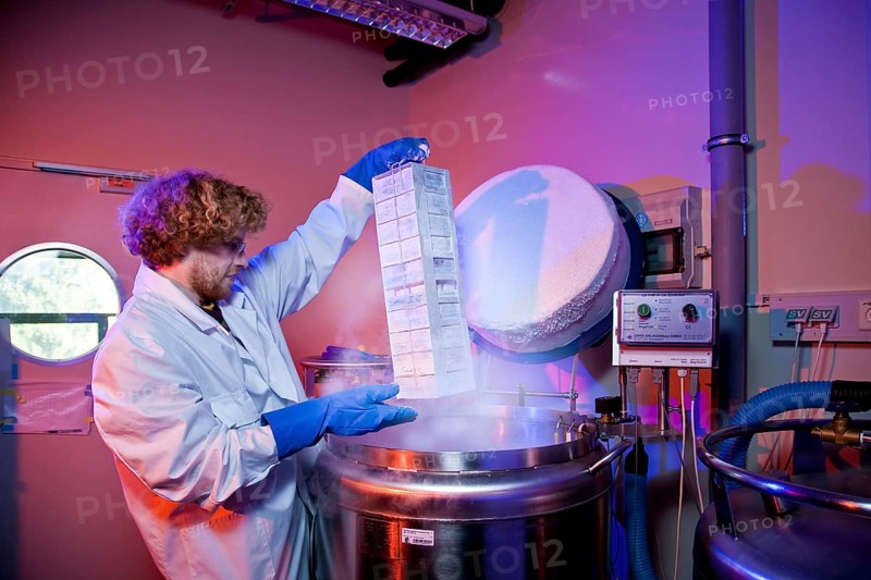 Max Planck Institute of Molecular Cell Biology and Genetics