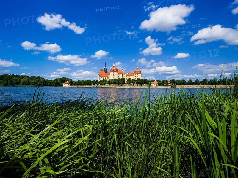 Moritzburg Baroque Palace