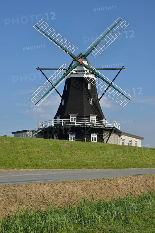 Nordermühle windmill, Pellworm, North Frisia, Schleswig-Holstein, Germany, Europe