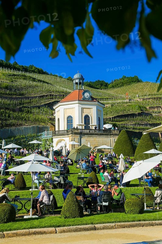 Winery Wackerbarth Castle