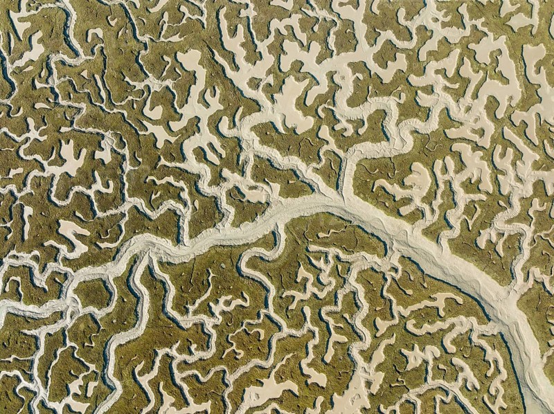 Network of dry channels and streams at low tide, in the marshland of the Bahía de Cádiz, aerial view, drone shot, Cádiz province, Andalusia, Spain, Europe