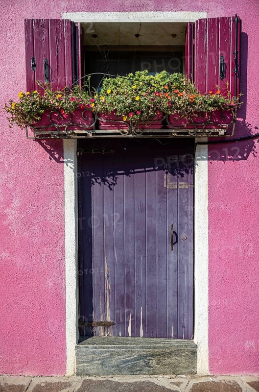 Front door and window with flowers and pink shutters, detail of a house facade, colourful houses on the island of Burano, Venice, Veneto, Italy, Europe