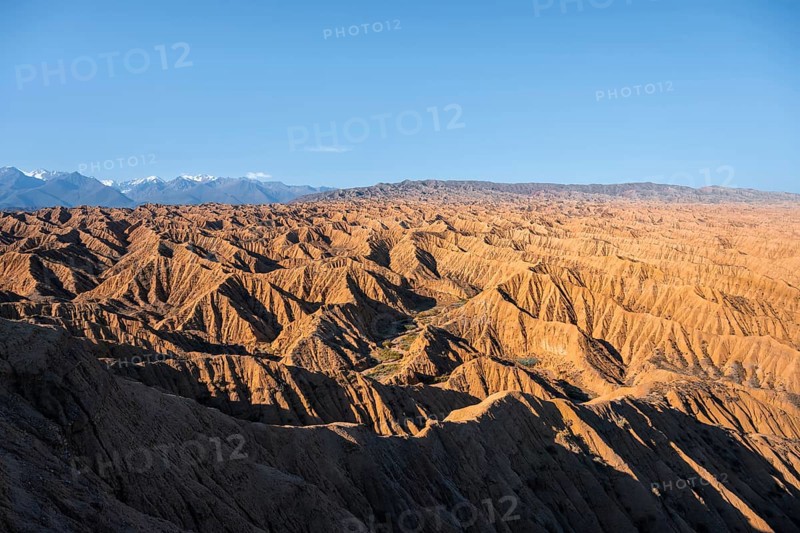Landscape of eroded hills, white peaks of the Tien Shan Mountains in the background, Badlands, Canyon of the Forgotten Rivers, Issyk Kul, Kyrgyzstan, Asia