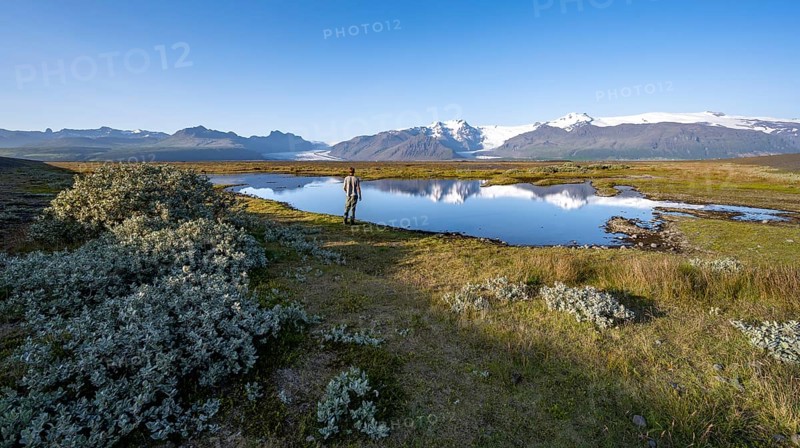 Tourist standing on the lakeshore, reflection in a lake, view of glacier tongues Skaftafellsjökull and Svínafellskökull, glaciated mountain peak Hrútfjallstindar and mountain Kristínartindar, Vatnajökull National Park, Austurland, Iceland, Europe