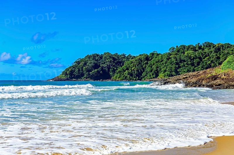 Tiririca beach with its waves and rainforest in the city of Itacare on the coast of Bahia