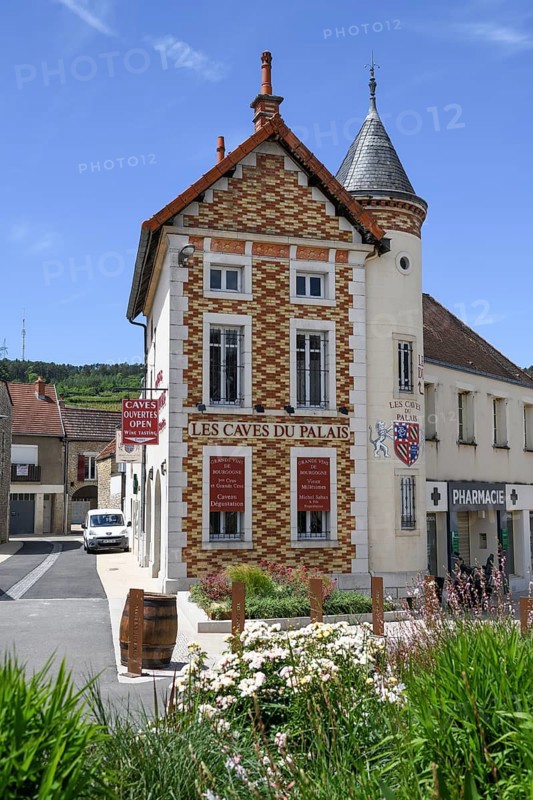 Les Caves du Palais Winery, Nuits-Saint-Georges, Département Côte-d'Or, Burgundy, France, Europe