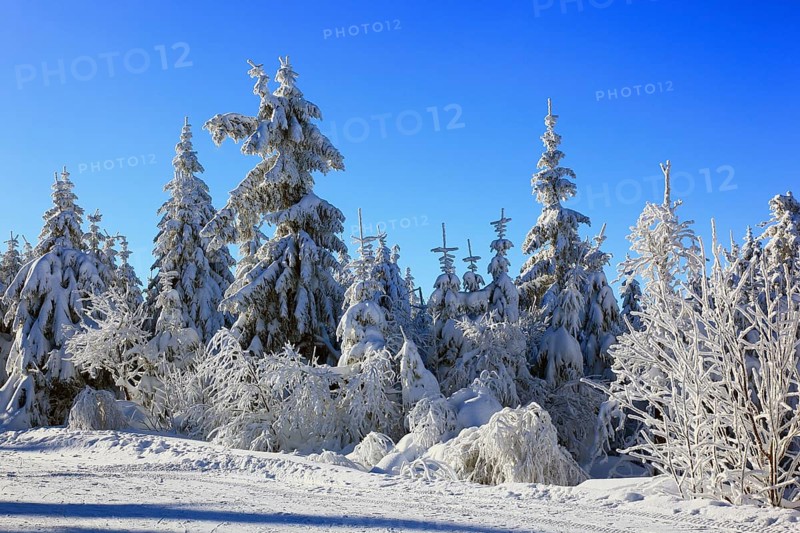 Winter landscape in the Fichtelgebirge, Bayreuth district, Upper Franconia, Bavaria, Germany, Europe