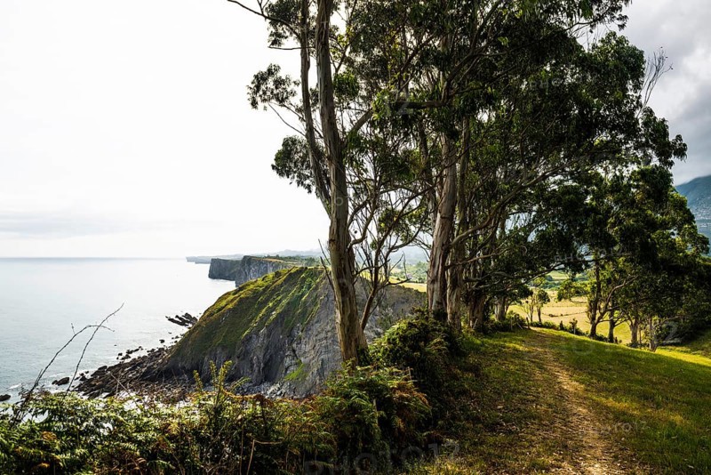 Steep coast, Ribadesella, Asturias, Asturias, Costa Verde, Northern Spain, Spain, Europe