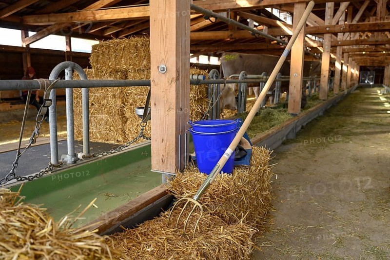 Stable Straw bale Pitchfork