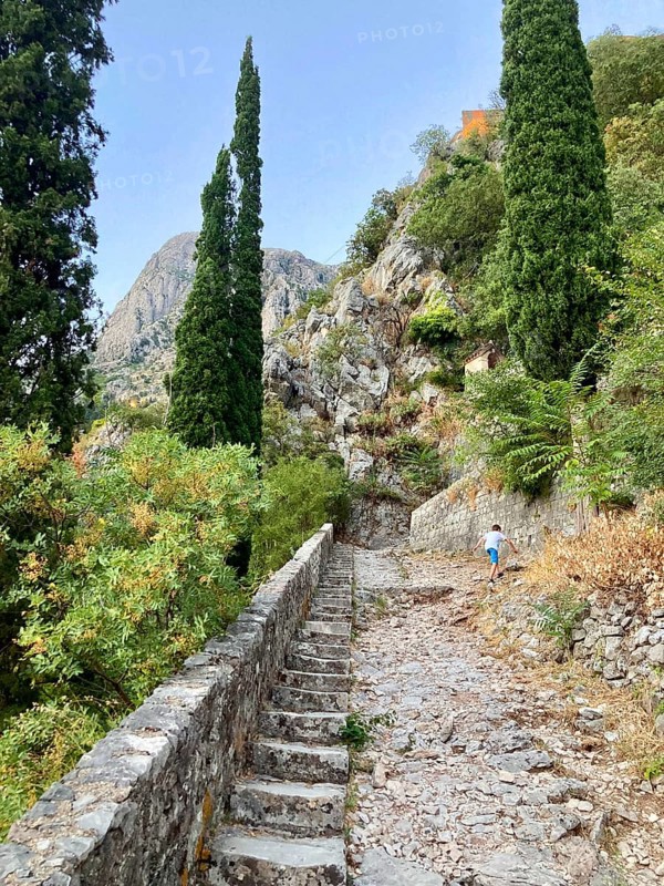 Hiking trail to the Kotor Fortress, Bay of Kotor, Adriatic Sea, Mediterranean Sea, World Natural and Cultural Heritage, Kotor, Montenegro, Europe
