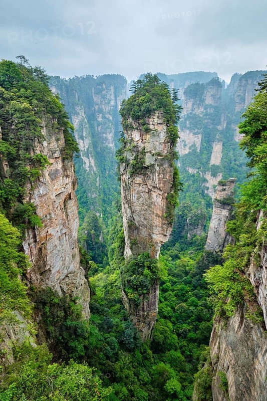 Famous tourist attraction of China, Avatar Hallelujah Mountain in Zhangjiajie stone pillars cliff mountains at Wulingyuan, Hunan, China, Asia