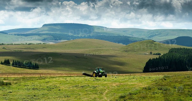 Cezallier plateau. Farmer rowing up hay in the Auvergne volcanoes regional natural park, Puy de Dome department, Auvergne-Rhone-Alpes, France, Europe