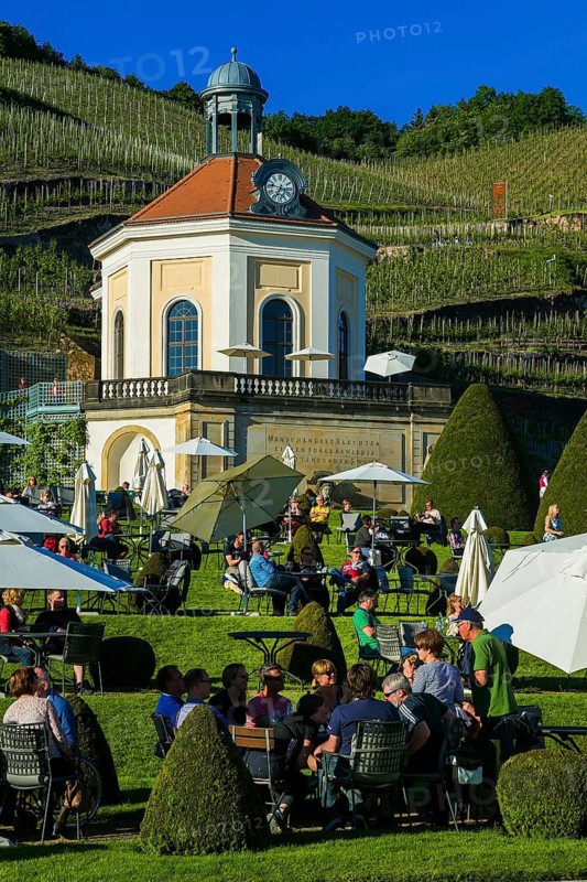 Winery Wackerbarth Castle