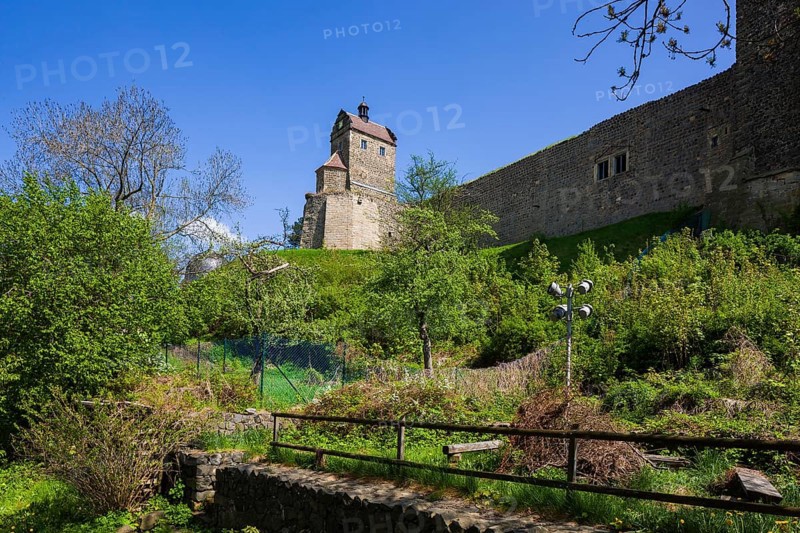 Stolpen Castle in spring