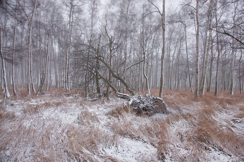 First snow in the Eastern Ore Mountains too
