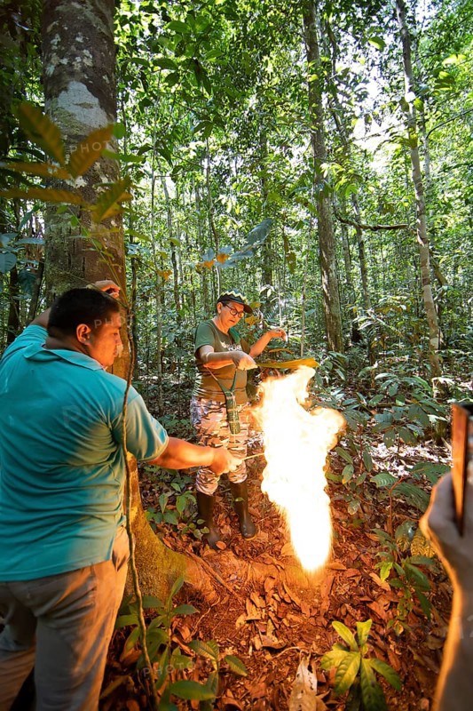 Jungle guides set fire to natural wax in the Amazon rainforest, Manaus, Amazonas state, Brazil, South America