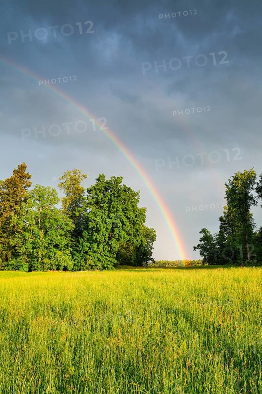 Evening thunderstorm atmosphere with double rainbow over lush green mixed forest, in the Zurich Oberland, Zurich, Switzerland, Europe