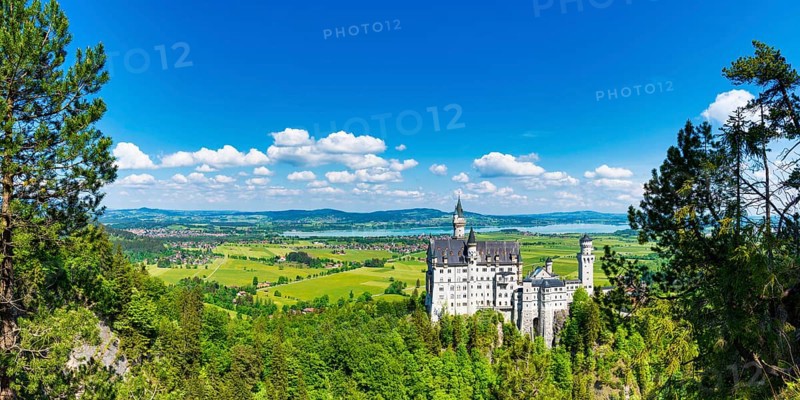 Neuschwanstein Castle near Hohenschwangau, Romantic Road, Ostallgäu, Bavaria, Germany, Europe