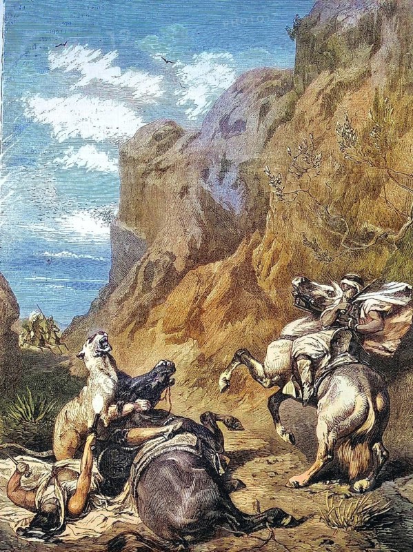Cougar attacks two Arab horsemen, 1868, Arabia, Historic, digitally restored reproduction of an original 19th century painting, exact original date not known
