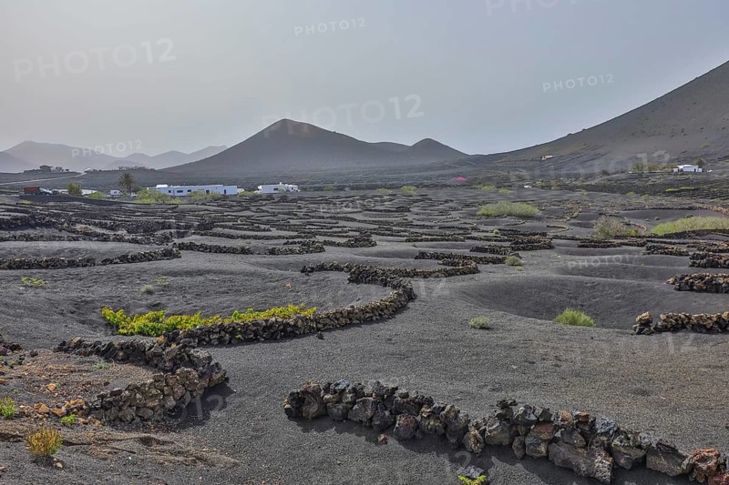 Vineyards around La Geria with volcanoes, Lanzarote, Canary Islands, Spain, Europe
