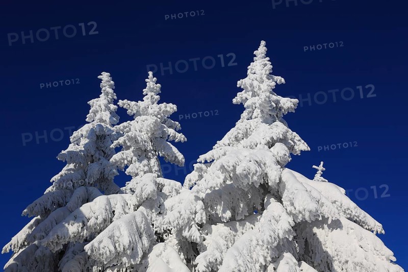Winter landscape in the Fichtelgebirge, Bayreuth district, Upper Franconia, Bavaria, Germany, Europe