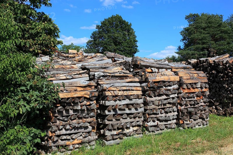 Stacked firewood, split logs in a pile, polter, logs