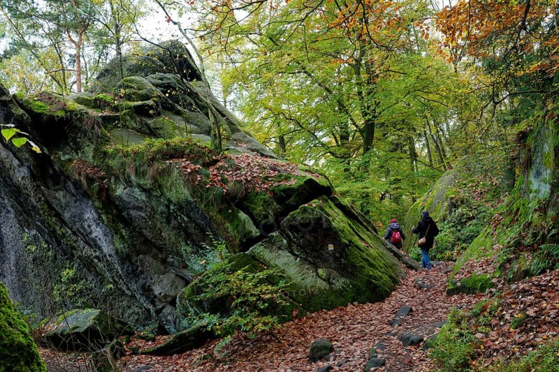 Hiking trail on the Lilienstein, Saxon Switzerland, Elbe Sandstone Mountains, Saxony, Germany, Europe