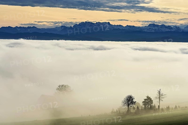 Fog over the Reuss valley, behind the snow-covered Alps, Schlatt, Freiamt, Canton Aargau, Switzerland, Europe