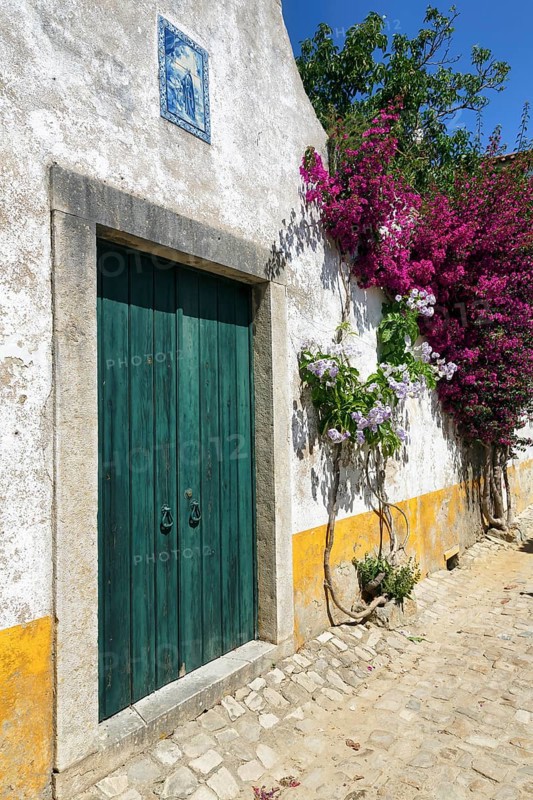 Picturesque alley, houses decorated with flowers in the medieval village of Óbidos, Portugal, Europe