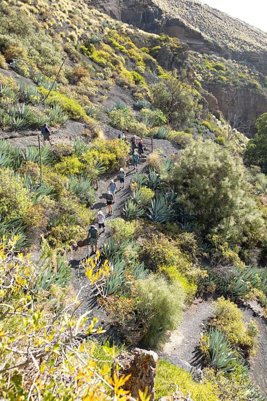 Caldera de Bandama in the Bandama Natural Park or Monumento Natural de Bandama, Las Palmas Province, Gran Canaria, Canary Islands, Spain, Europe