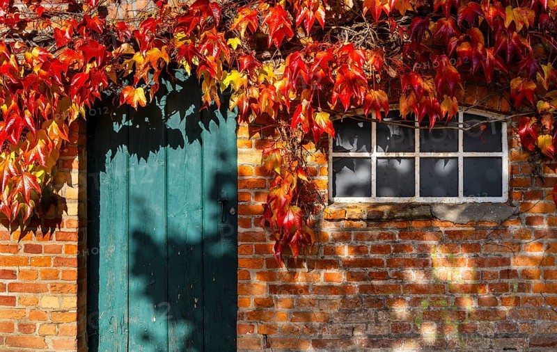 Autumn season, castle park and outbuildings, Ahrensburg, Schleswig-Holstein, Germany, Europe