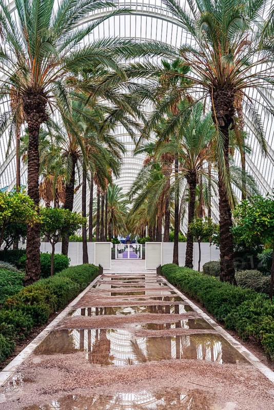 Umbracle Gardens, City of Arts and Sciences in Valencia, Spain, Europe