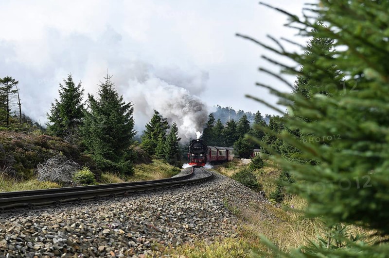 Harz narrow-gauge railway on the way to the Brocken, Saxony-Anhalt, Germany, Europe