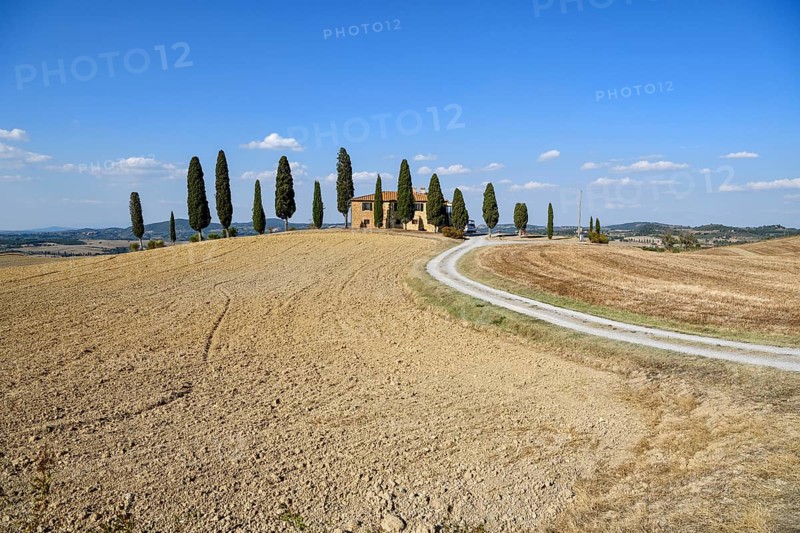 Cypresses in front of a country house, near Pienza, Val d'Orcia, Orcia Valley, Tuscany, Italy, Europe