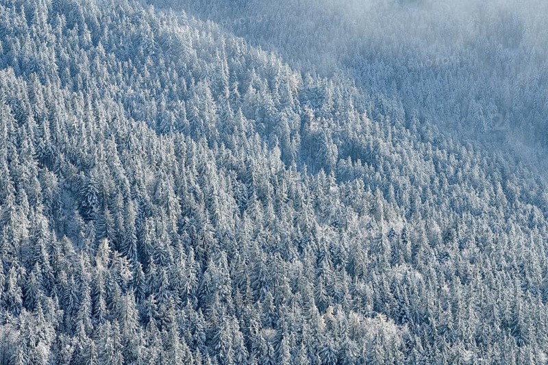 Snowy winter landscape near the Hornisgrinde, near Seebach, Ortenaukreis, Black Forest, Baden-Württemberg, Germany, Europe