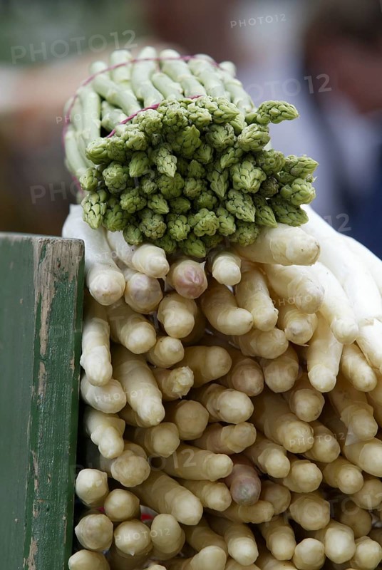 Asparagus (Asparagus officinalis), green and white