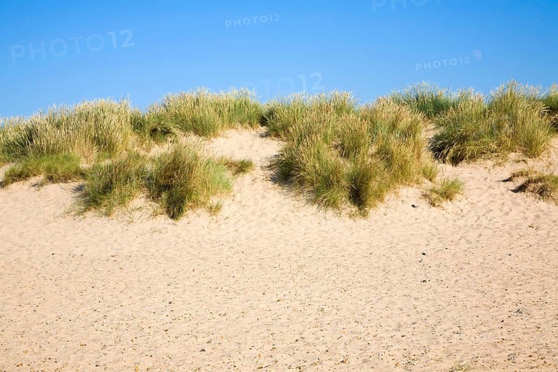 Sand dunes at Holkham beach, north Norfolk coast, England, United Kingdom, Europe