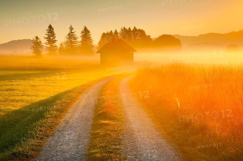 Golden morning light streams through fields of fog and the Rothenthurm high moor, Schwyz, Switzerland, Europe