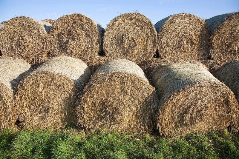 Stacked round straw bales and blue sky and green grass, Suffolk, England, United Kingdom, Europe