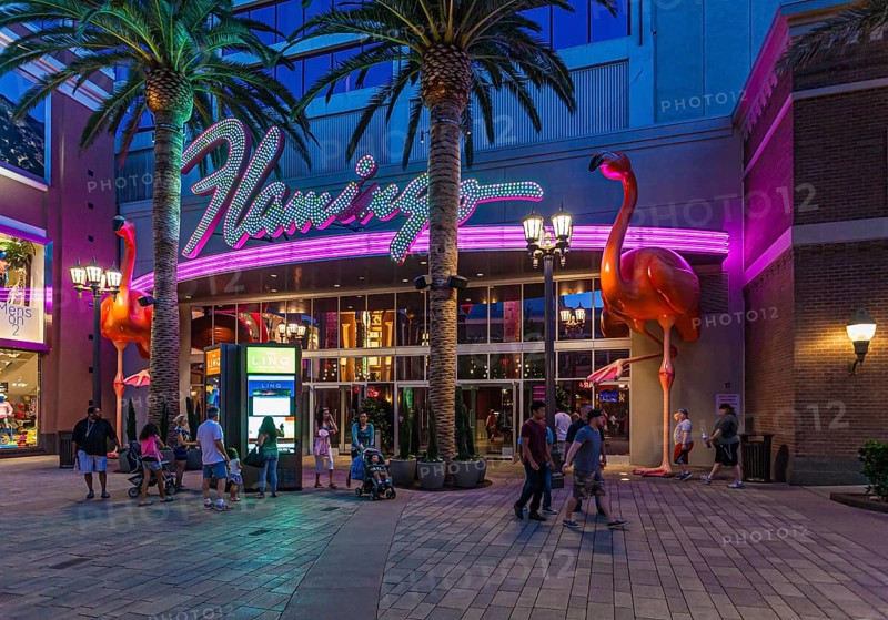 Tourists walking past the purple and pink neon lights at the entrance to the Flamingo Las Vegas Hotel and Casino on the Las Vegas Strip in Paradise, Nevada, USA, North America