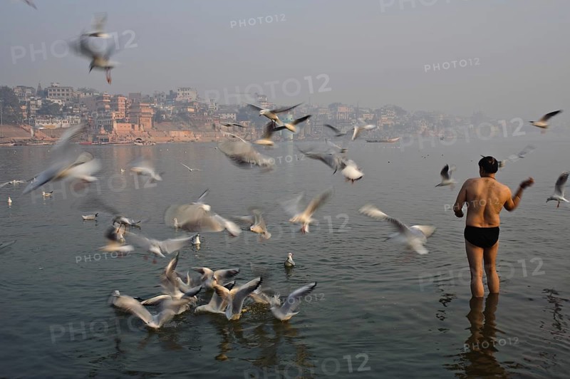 Hindu pilgrim feeding gulls in the Ganges river, Varanasi, India, Asia