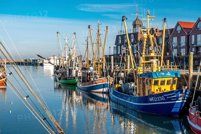 The harbour of Neuharlingersiel, East Frisia, Lower Saxony, fishing boats, fishing cutter, monument, Neuharlingersiel, Federal Republic of Germany ferry port