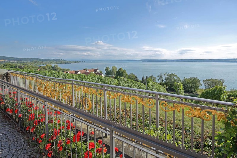 View of Birnau with vineyards and golden metal railing with ornaments and red geraniums, flower decoration, wrought ironwork, wine-growing area, balustrade, golden, red, railing, nature, landscape, view, lake, idyll, mood, Birnau, Uhldingen-Mühlhofen, Obersee, Lake Constance, Lake Constance area, Baden-Württemberg, Germany, Europe